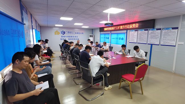 分公司党支部书记、副总经理胡海云深刻牛湾岛项目宣贯《“三力”提升行动》；平ㄊ 摄建图）.jpg